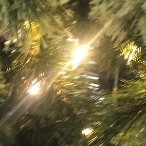 Meet your Posher, Audrey